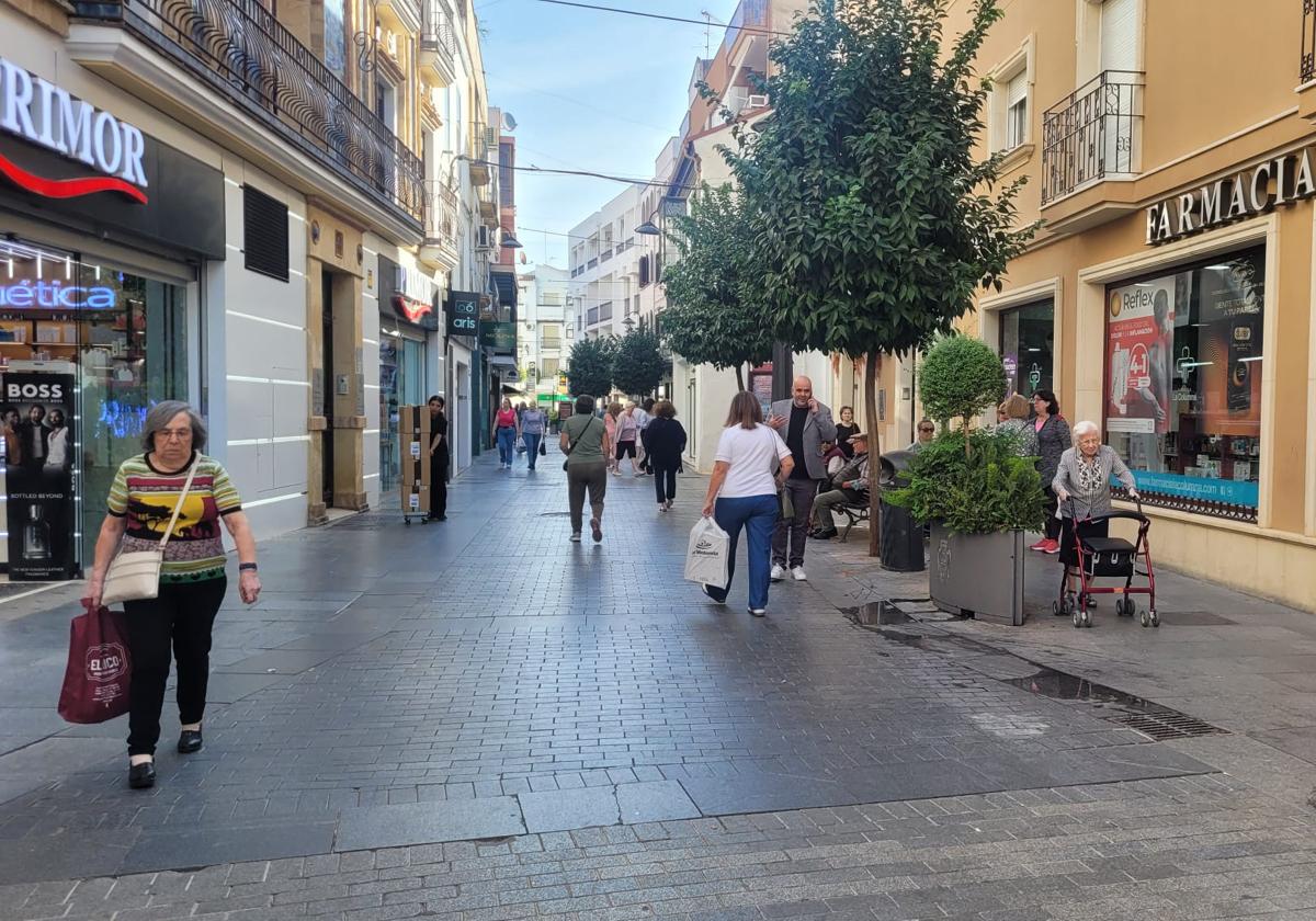 Una calle peatonal de la zona comercial de Andújar